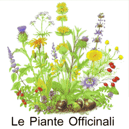 pianteofficinali
